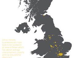 Ethnic SME supply diversity
